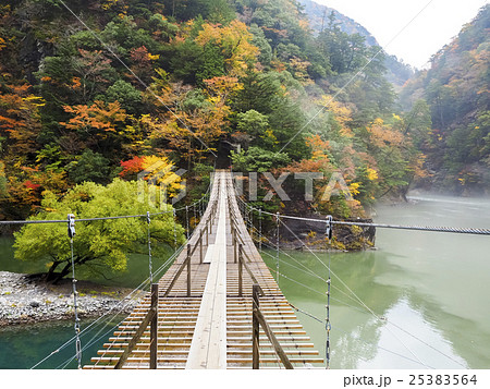 寸又峡 夢の吊り橋 紅葉シーズン 寸又峡 夢の吊り橋 紅葉シーズン 25383564
