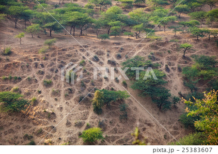 Recreational Area near Pushkar, India 25383607