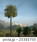 Amber fort. View from afar with palm trees 25383705