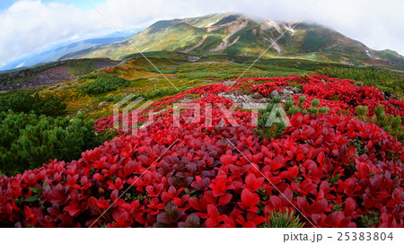 大雪山・御鉢平の紅葉 25383804
