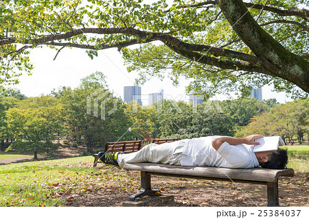 公園のベンチで寝る男性の写真素材