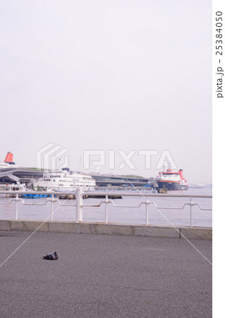 山下公園 25384050