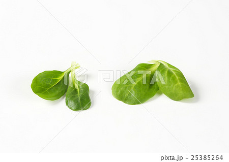 fresh corn salad leaves fresh corn salad leaves 25385264