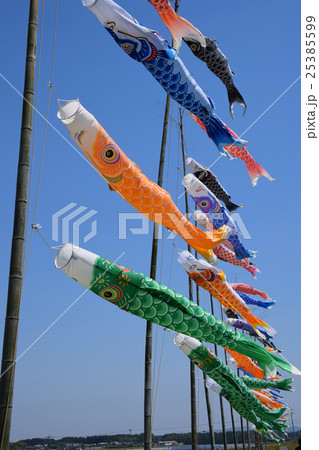 庄内川の鯉のぼり （宮崎県都城市） 25385599