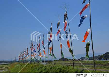 庄内川の鯉のぼり （宮崎県都城市） 25385610