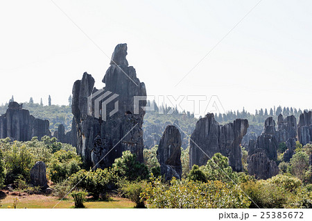 中國雲南省の石林風景 25385672