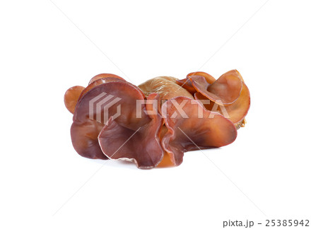 black  mushroom  on white background 25385942