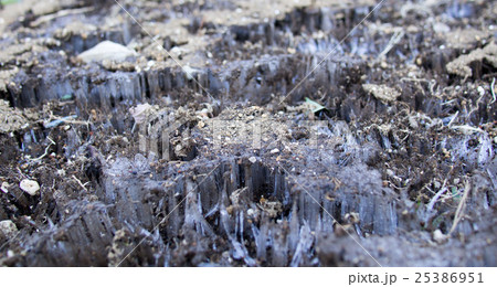 しもばしら 25386951