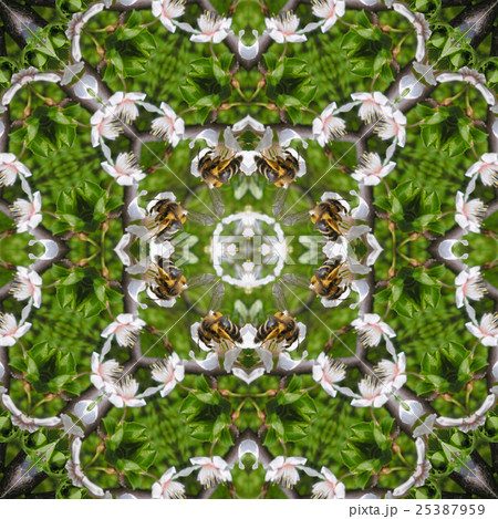 Kaleidoscopic bee on flower seamless texture 25387959