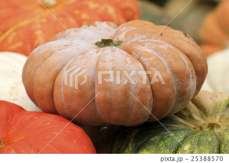 Pumpkin at Halloween market Pumpkin at Halloween market 25388570