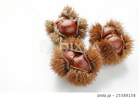 くり くり 25389158