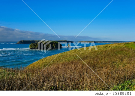 アゼチ岬 (15) 25389201