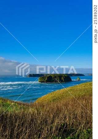 アゼチ岬 (16) 25389202