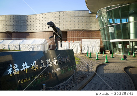 福井県立恐竜博物館 25389843