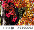 埼玉　平林寺の紅葉12 25390098