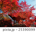 埼玉　平林寺の紅葉13 25390099