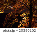 埼玉　平林寺の紅葉16 25390102