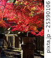 埼玉　平林寺の紅葉20 25390106