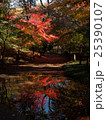 埼玉　平林寺の紅葉21 25390107