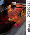 埼玉　平林寺の紅葉28 25390114