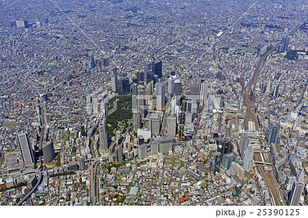 新宿高層ビル群/空撮 新宿高層ビル群/空撮 25390125