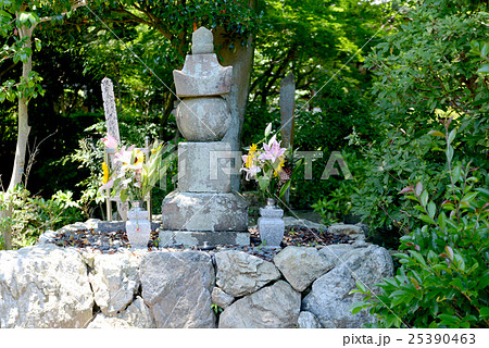 北川殿の墓 25390463