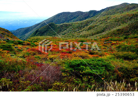 栃木県那須郡那須町　秋の茶臼岳　牛ケ首の紅葉　 25390653