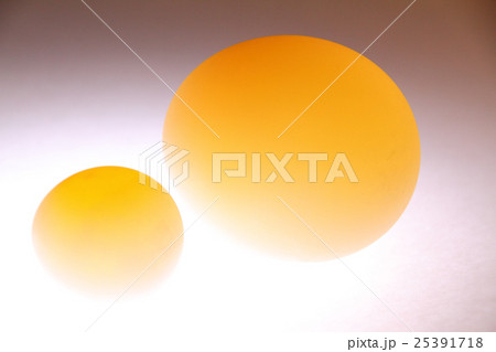 スケルトンエッグ（ウズラと鶏） 25391718