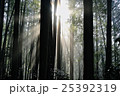 朝の光の幕 25392319