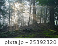 太陽からのご褒美 25392320