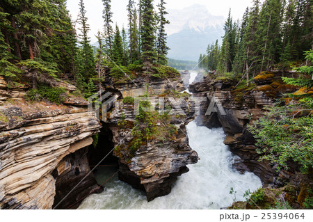 Canyon in Banff NP Canyon in Banff NP 25394064