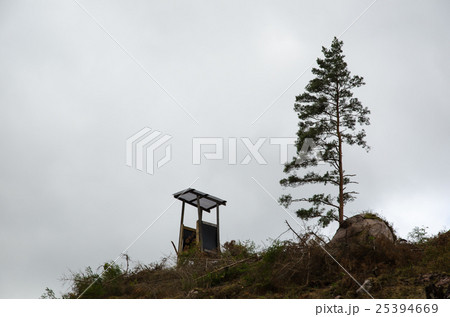 Hunting tower by a single pine tree 25394669