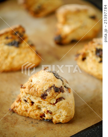 焼きあがりのプルーンスコーン 焼きあがりのプルーンスコーン 25397784