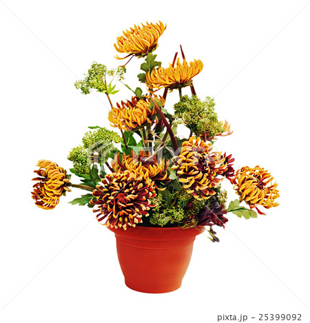 Bouquet from chrysanthemums  25399092