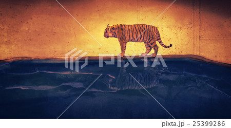 Dreamtiger 25399286