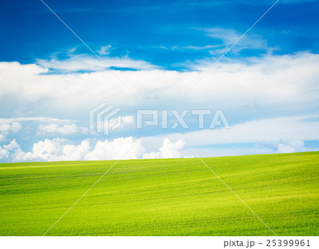 Summer Landscape with Green Field and Blue Sky 25399961