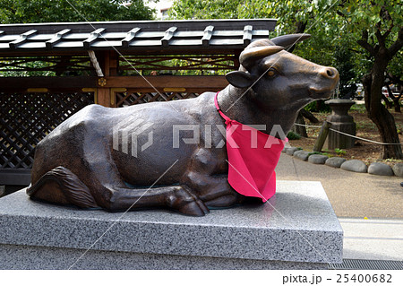 湯島天神の撫で牛（臥牛） 25400682