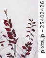 紅葉 25402426