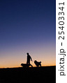 夕暮れの散歩 25403341