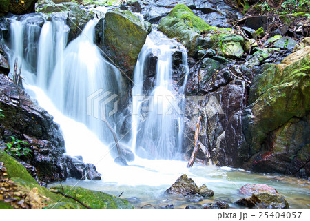 滝 25404057