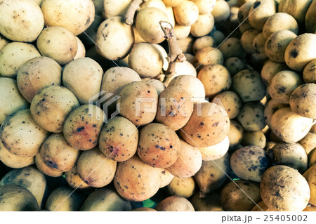 Lansium parasiticum (Long Kong) Lansium parasiticum (Long Kong) 25405002