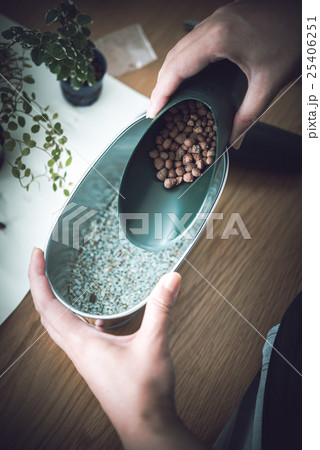 インドアガーデニング 25406251