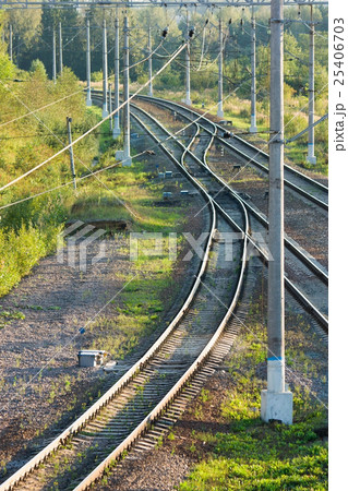 Railroad tracks in forest vertical view Railroad tracks in forest vertical view 25406703