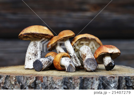 fresh mushrooms, harvest from the forest fresh mushrooms, harvest from the forest 25407279