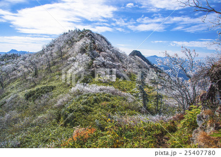 霧氷の山並み 霧氷の山並み 25407780