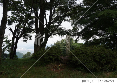 佐和山城跡 25408254