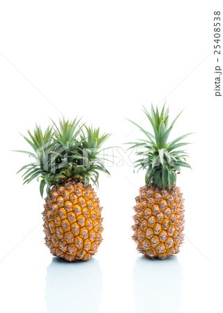 Genetic Modification, pineapple, fruit 25408538