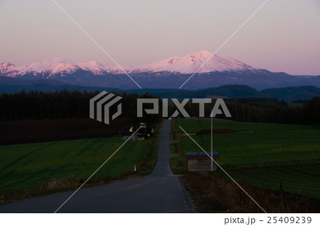 夕陽を浴びて輝く雪山 夕陽を浴びて輝く雪山 25409239