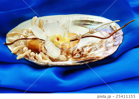 Composition from pearls, coral and orchids on blue Composition from pearls, coral and orchids on blue 25411155