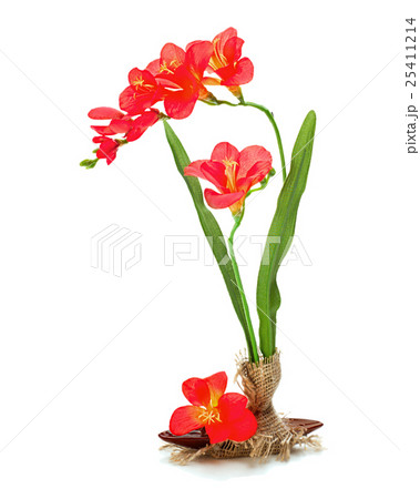 Still life from artificial freziya flowers. Still life from artificial freziya flowers. 25411214